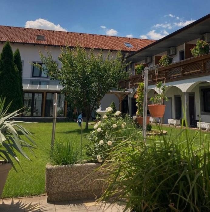 Gästehaus und Weinbau Zur Wiederkehr Strudler Podersdorf am See Exterior foto